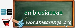 WordMeaning blackboard for ambrosiaceae